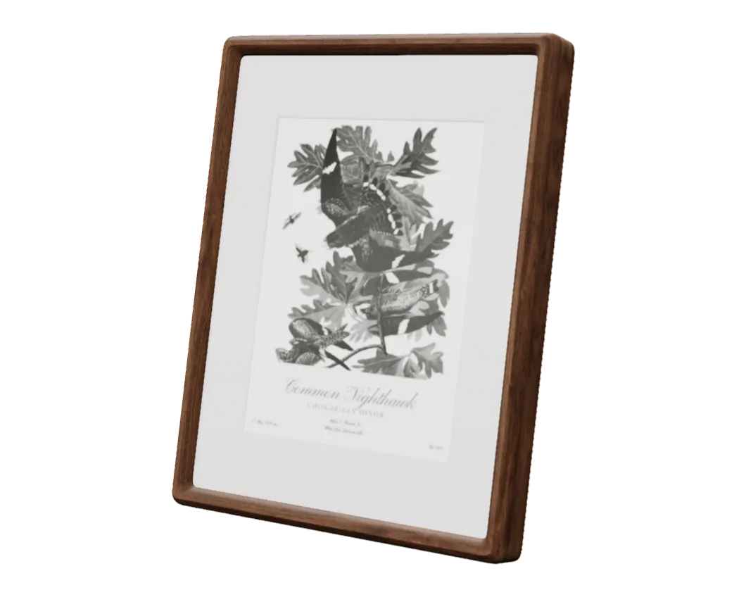 Featherframe, 3D model